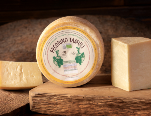 Organic pecorino cheese “Tamuli”