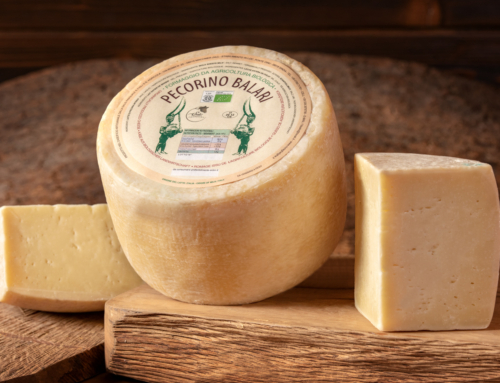 Organic pecorino cheese “Balari”